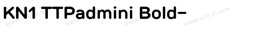 KN1 TTPadmini Bold字体转换
